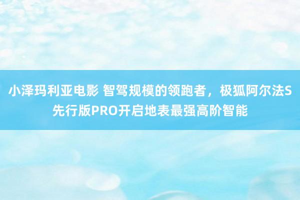 小泽玛利亚电影 智驾规模的领跑者，极狐阿尔法S先行版PRO开启地表最强高阶智能