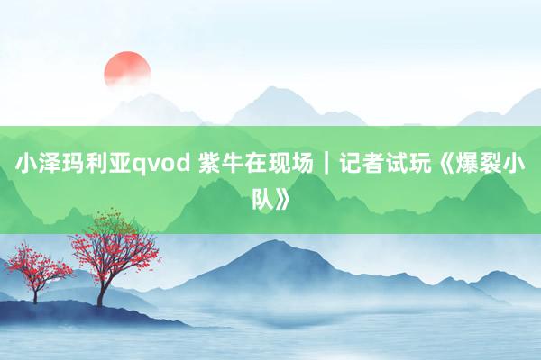 小泽玛利亚qvod 紫牛在现场｜记者试玩《爆裂小队》