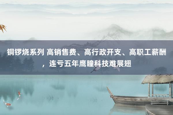 铜锣烧系列 高销售费、高行政开支、高职工薪酬，连亏五年鹰瞳科技难展翅