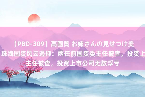 【PBD-309】高画質 お姉さんの見せつけ美尻＆美脚の誘惑 珠海国资风云遏抑：两任前国资委主任被查，投资上市公司无数浮亏