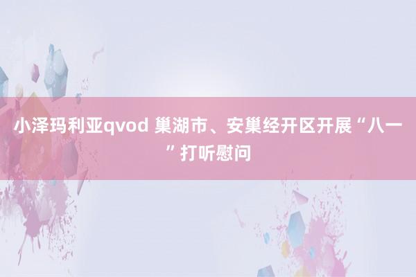 小泽玛利亚qvod 巢湖市、安巢经开区开展“八一”打听慰问