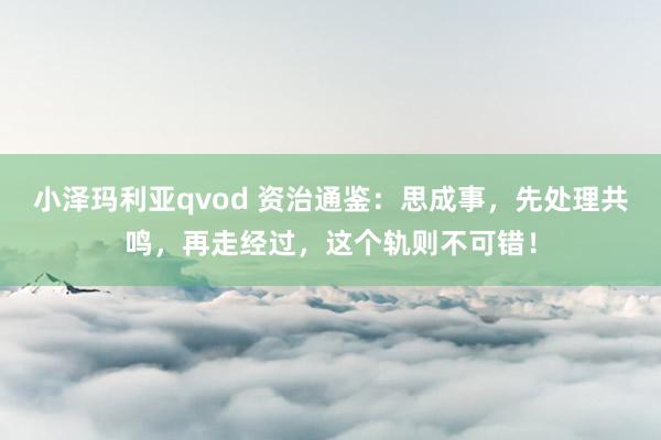 小泽玛利亚qvod 资治通鉴：思成事，先处理共鸣，再走经过，这个轨则不可错！