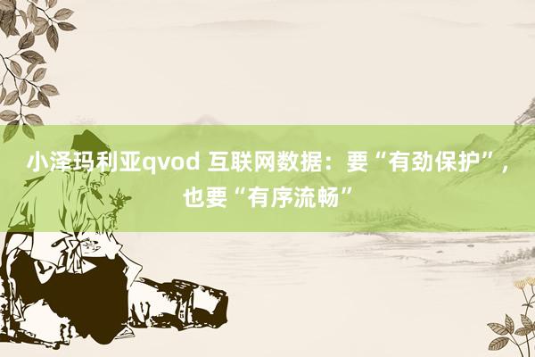 小泽玛利亚qvod 互联网数据：要“有劲保护”，也要“有序流畅”