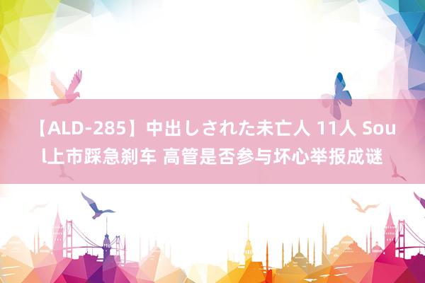 【ALD-285】中出しされた未亡人 11人 Soul上市踩急刹车 高管是否参与坏心举报成谜