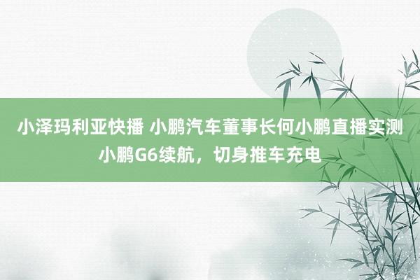 小泽玛利亚快播 小鹏汽车董事长何小鹏直播实测小鹏G6续航，切身推车充电