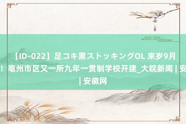 【ID-022】足コキ黒ストッキングOL 来岁9月招生！亳州市区又一所九年一贯制学校开建_大皖新闻 | 安徽网