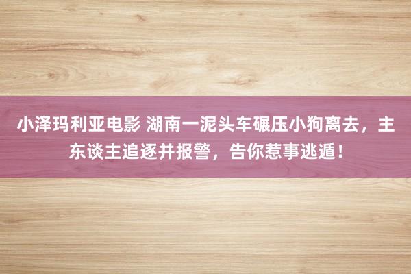 小泽玛利亚电影 湖南一泥头车碾压小狗离去，主东谈主追逐并报警，告你惹事逃遁！