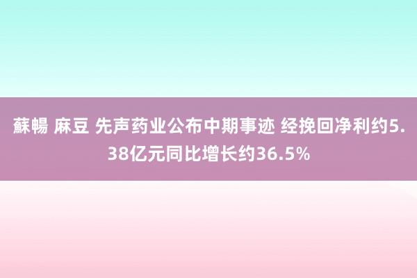 蘇暢 麻豆 先声药业公布中期事迹 经挽回净利约5.38亿元同比增长约36.5%