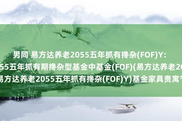 男同 易方达养老2055五年抓有搀杂(FOF)Y: 易方达养老策动日历2055五年抓有期搀杂型基金中基金(FOF)(易方达养老2055五年抓有搀杂(FOF)Y)基金家具贵寓节录更新