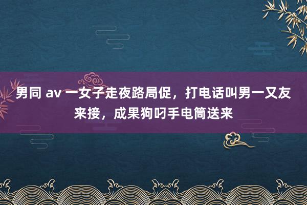 男同 av 一女子走夜路局促，打电话叫男一又友来接，成果狗叼手电筒送来