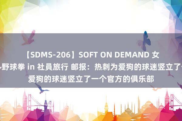 【SDMS-206】SOFT ON DEMAND 女子社員スペシャル野球拳 in 社員旅行 邮报：热刺为爱狗的球迷竖立了一个官方的俱乐部