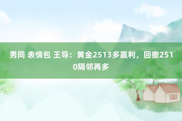 男同 表情包 王导：黄金2513多赢利，回撤2510隔邻再多