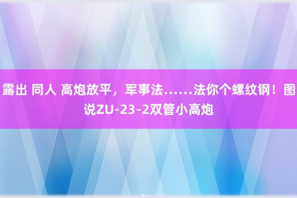 露出 同人 高炮放平，军事法……法你个螺纹钢！图说ZU-23-2双管小高炮