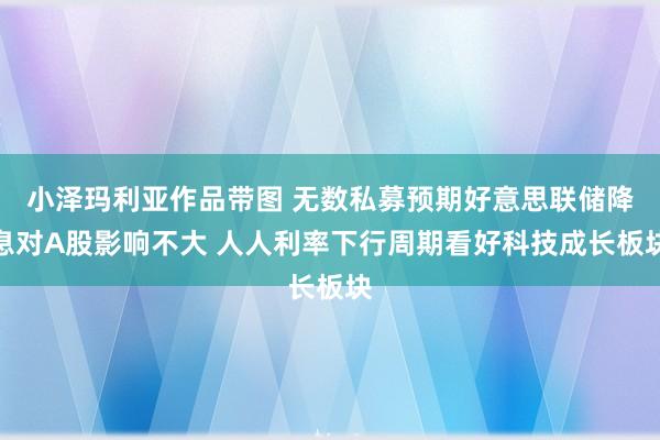 小泽玛利亚作品带图 无数私募预期好意思联储降息对A股影响不大 人人利率下行周期看好科技成长板块