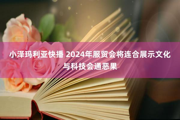 小泽玛利亚快播 2024年服贸会将连合展示文化与科技会通恶果